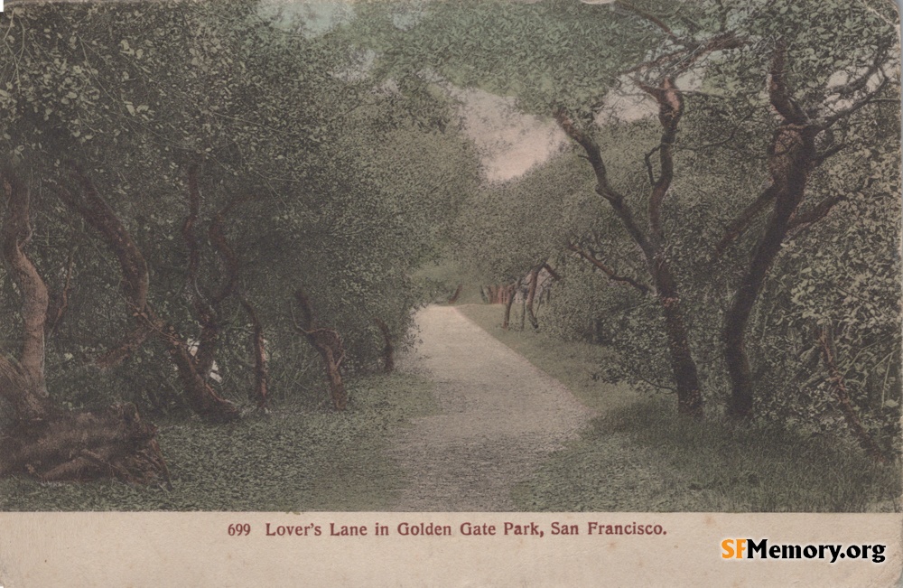 Golden Gate Park