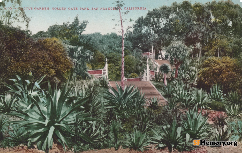 Golden Gate Park