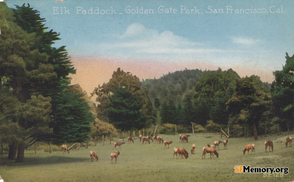 Golden Gate Park