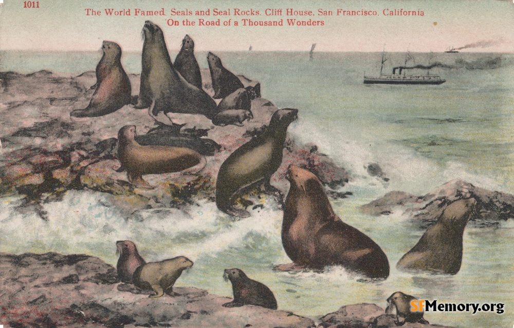 Seal Rocks