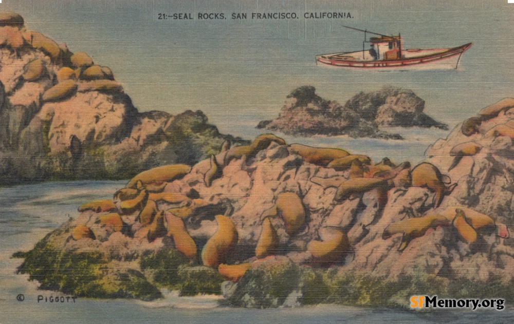 Seal Rocks