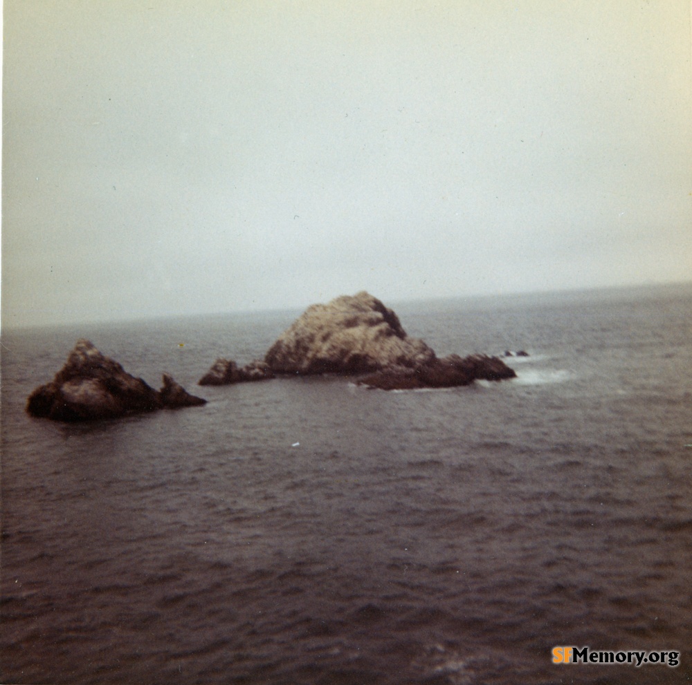 Seal Rocks