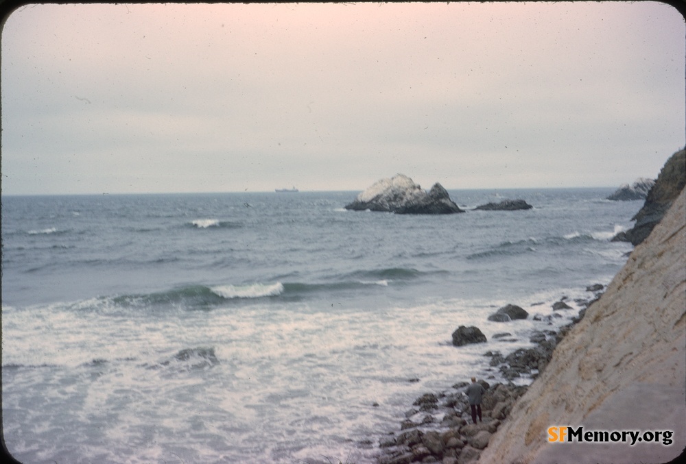 Seal Rocks