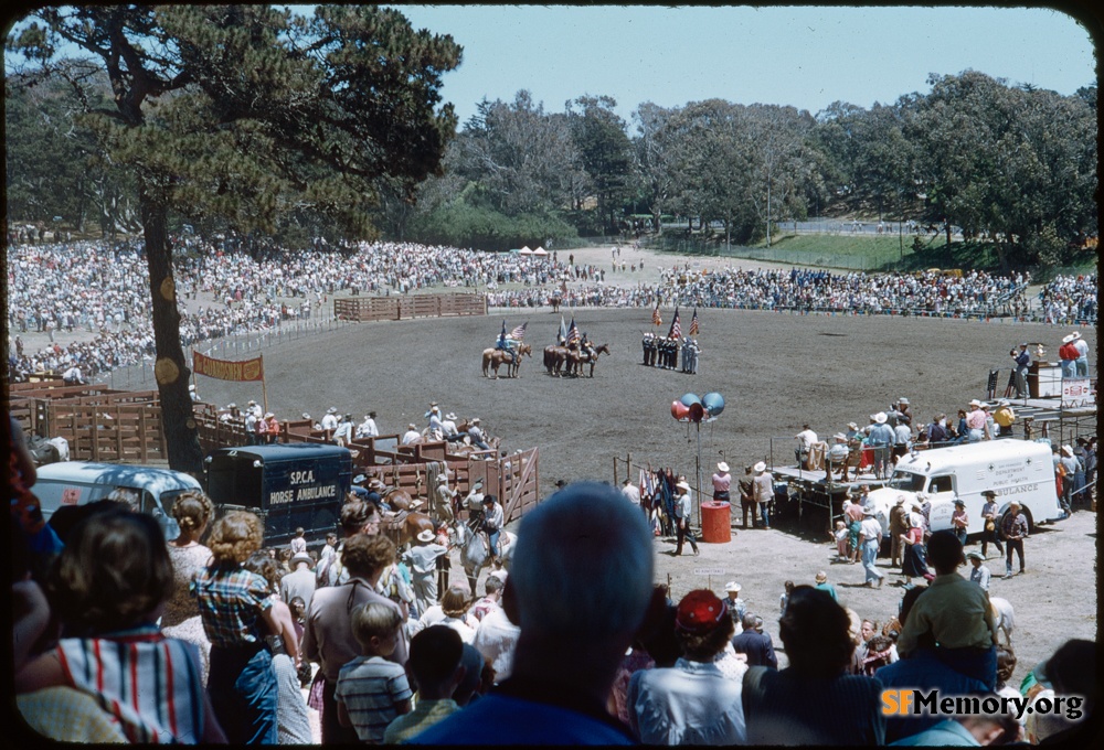 Golden Gate Park