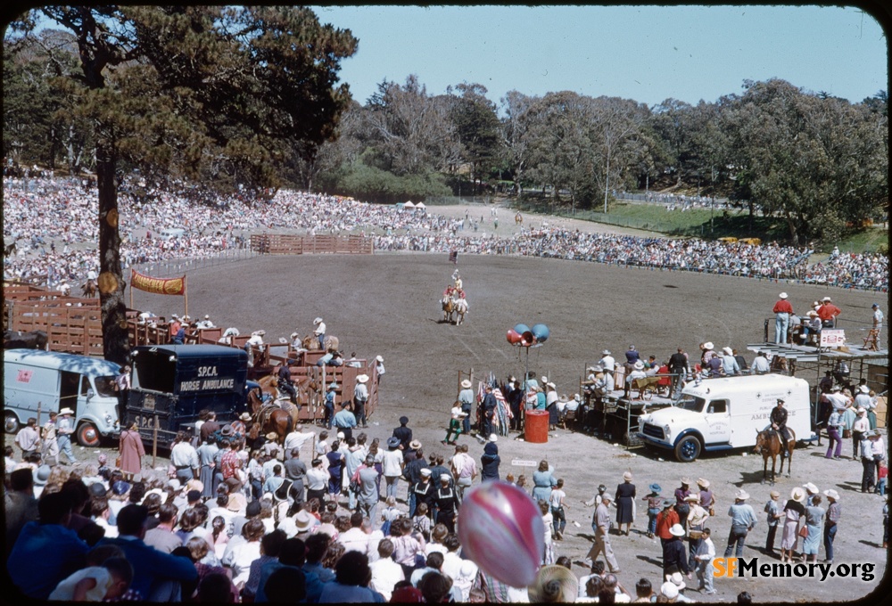 Golden Gate Park