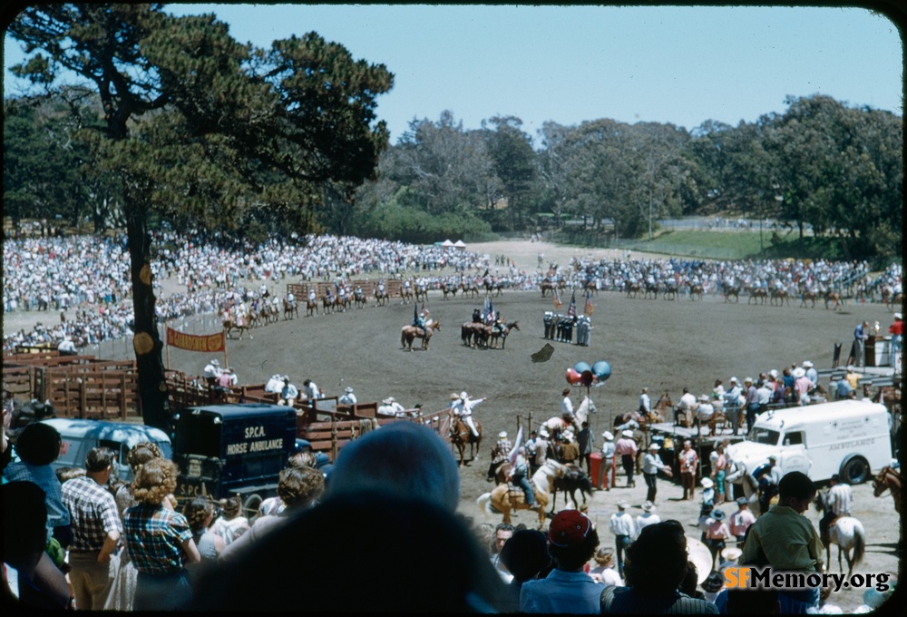 Golden Gate Park