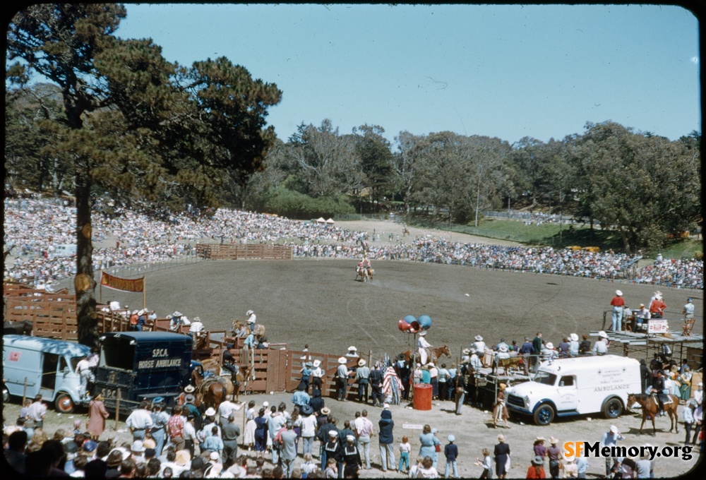 Golden Gate Park