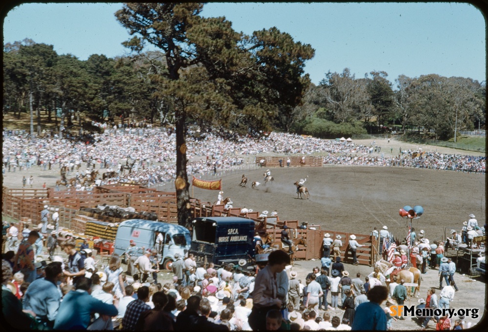 Golden Gate Park