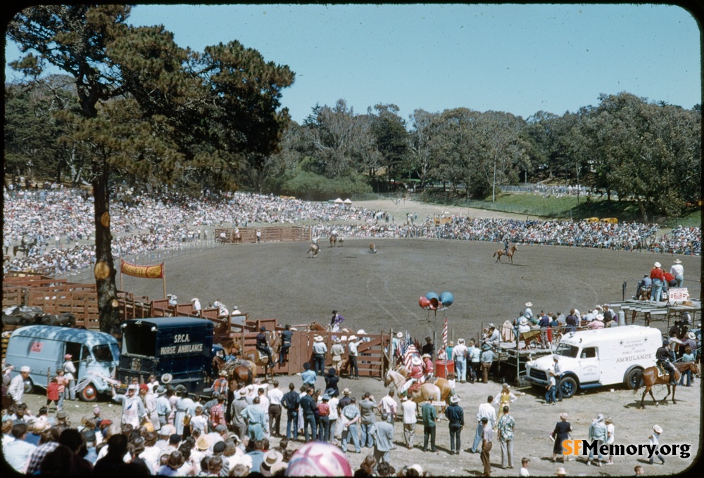 Golden Gate Park