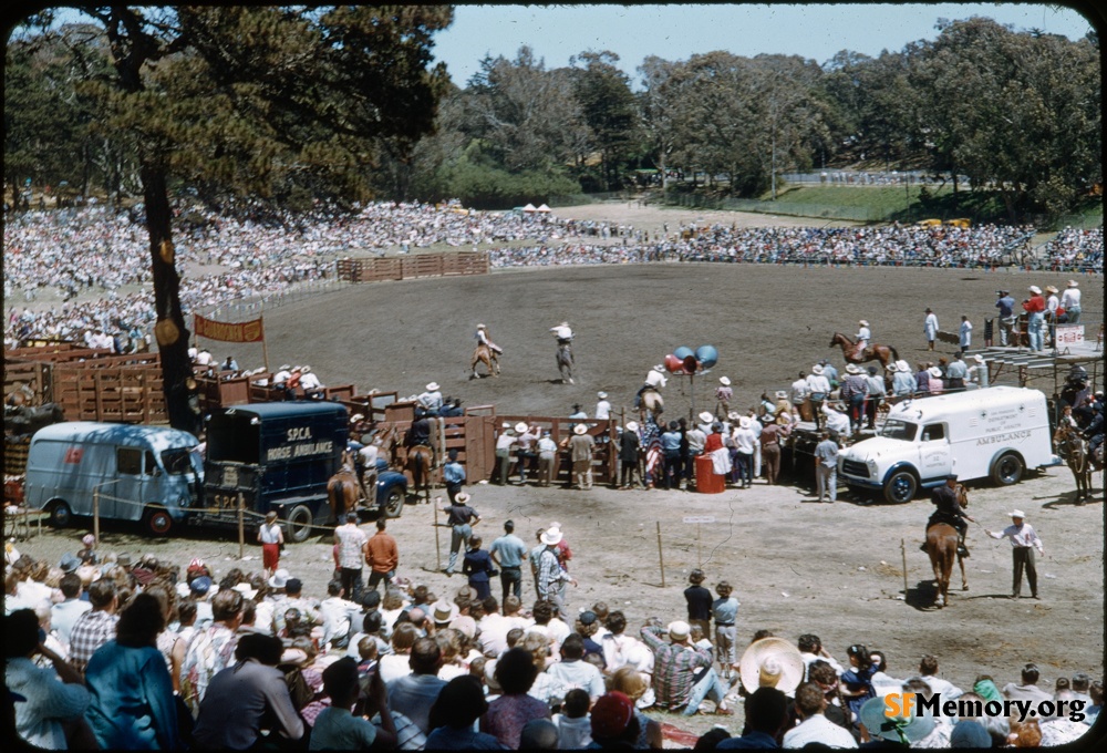 Golden Gate Park