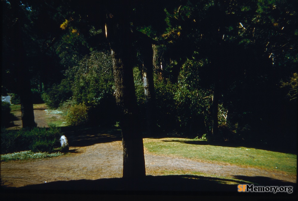 Golden Gate Park