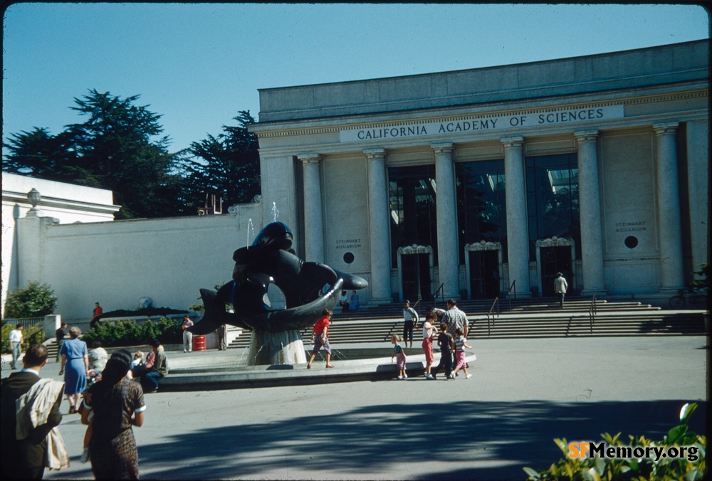 Cal Academy