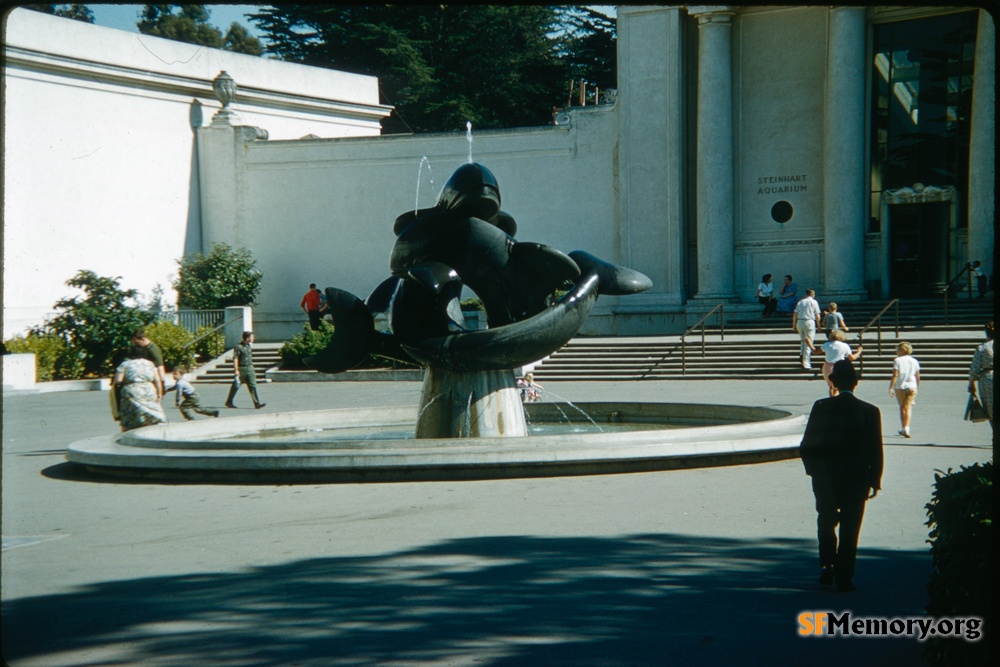 Cal Academy