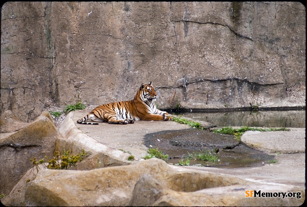 SF Zoo