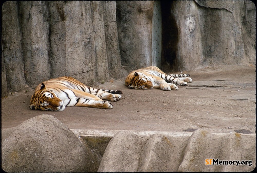 SF Zoo