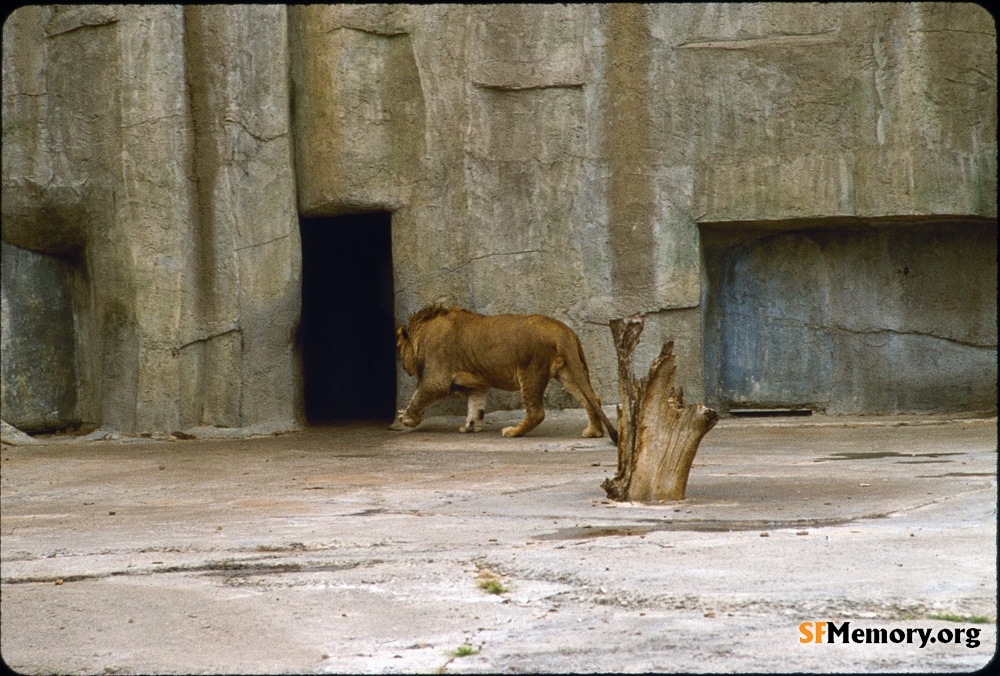 SF Zoo