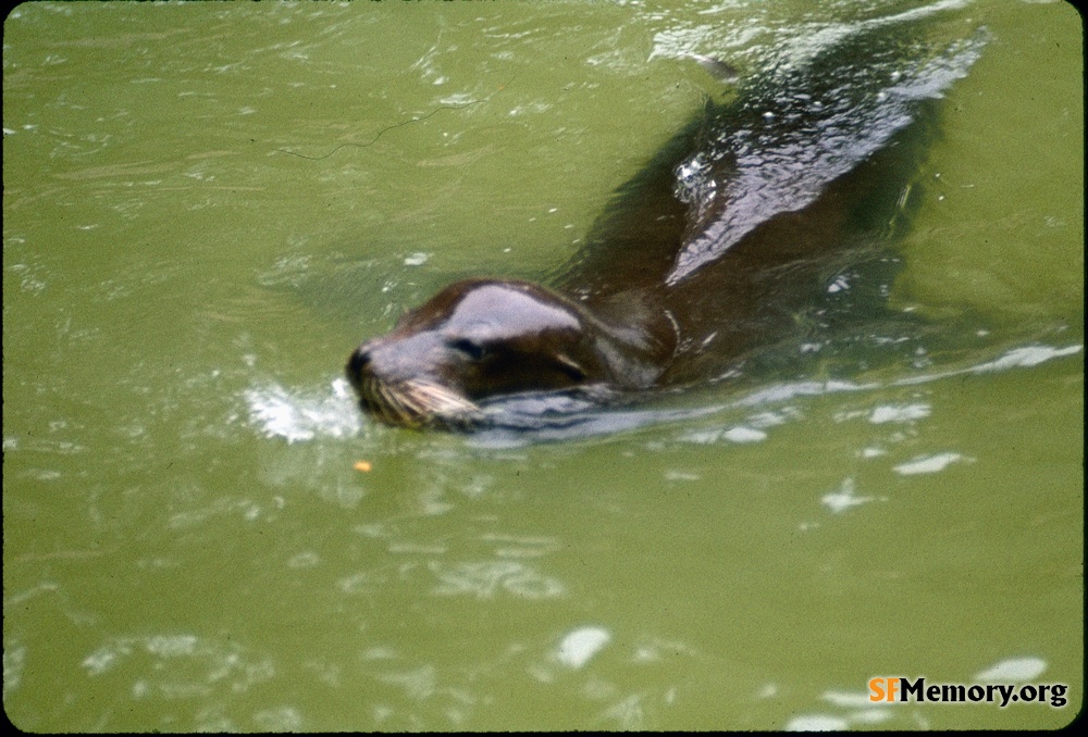 SF Zoo