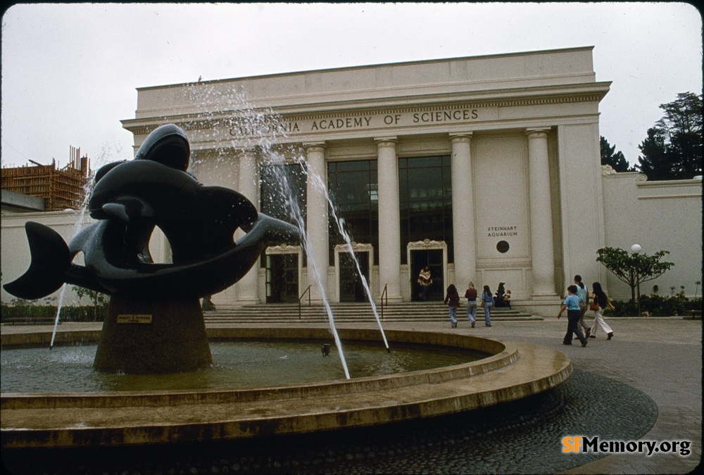 Cal Academy