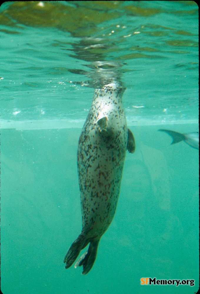 Cal Academy