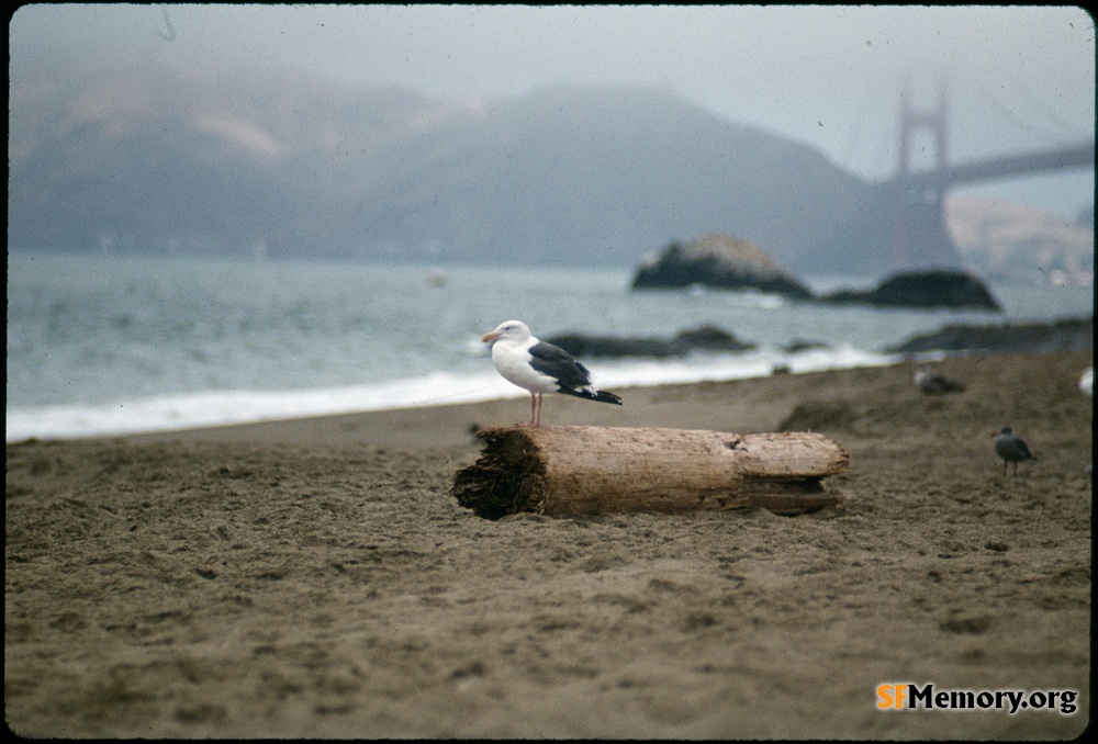 Baker Beach