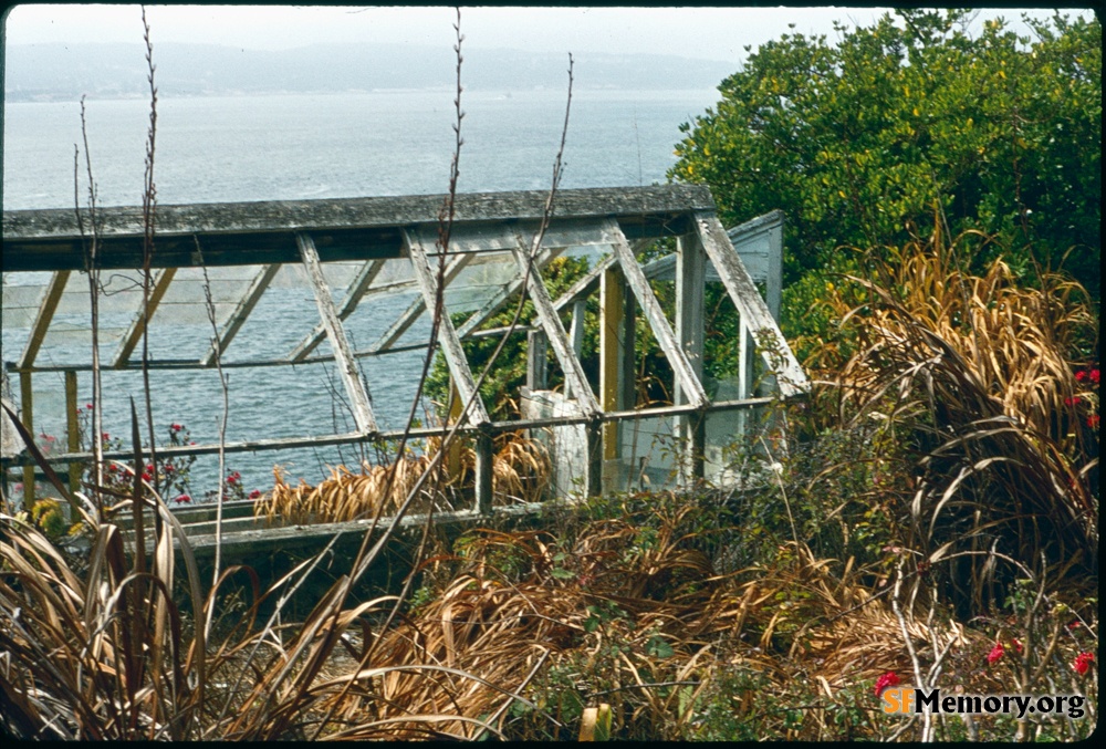 Alcatraz