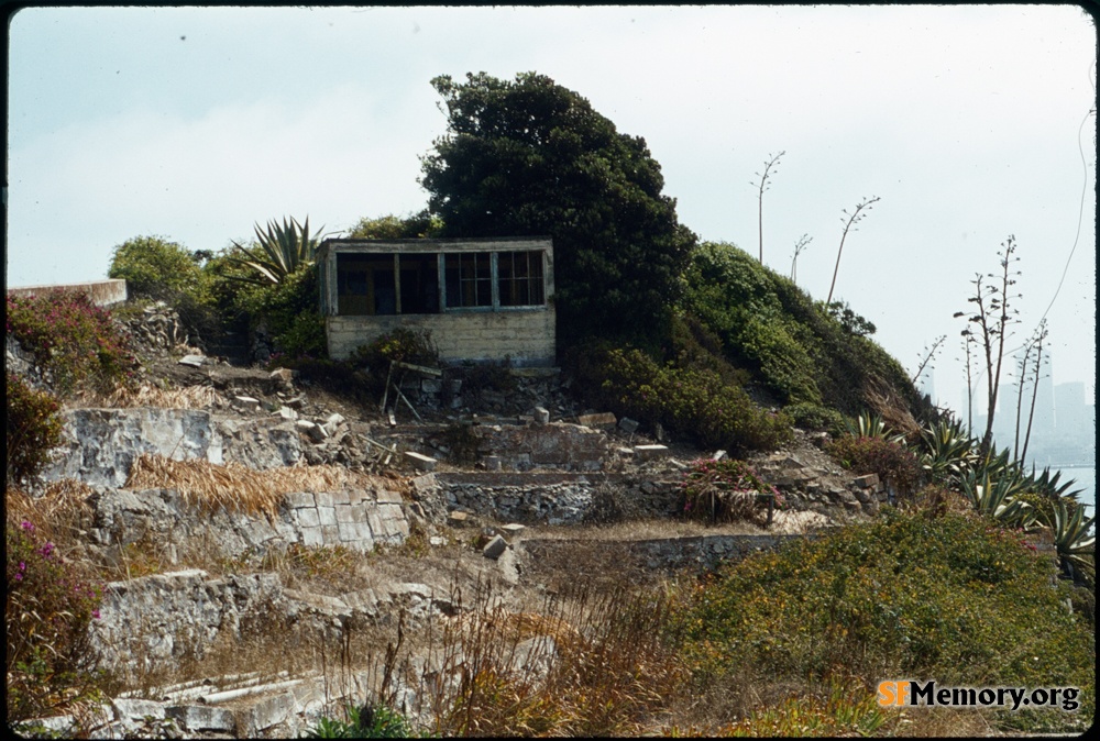 Alcatraz