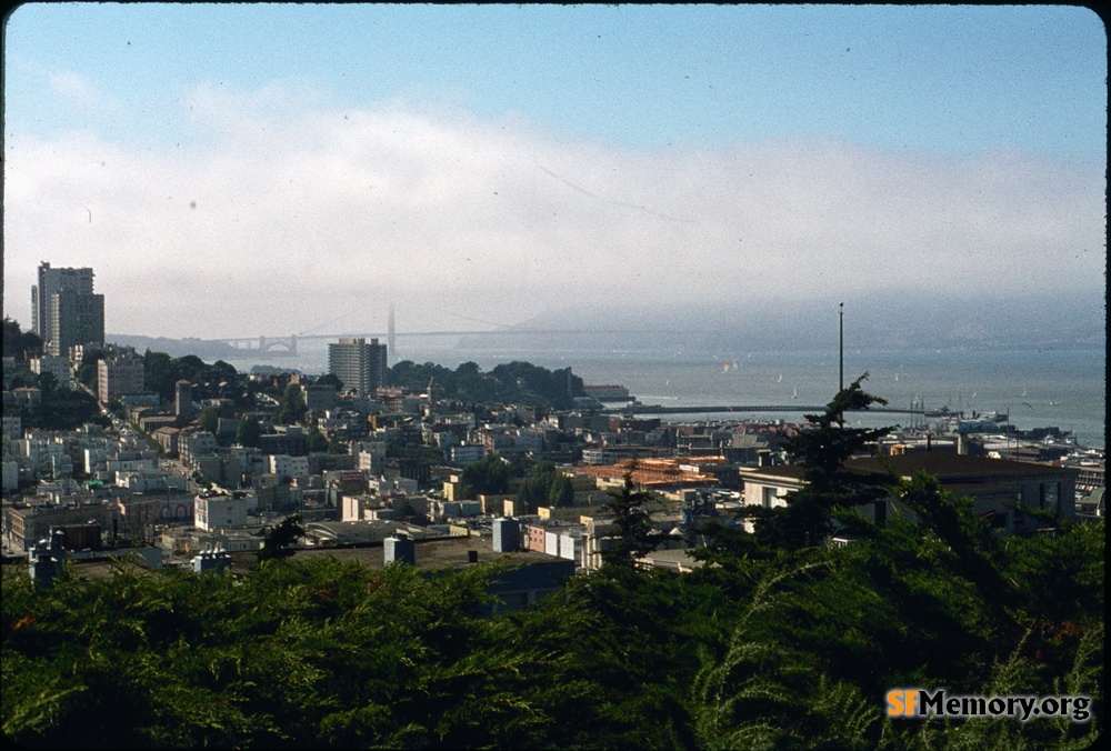 View from Telegraph Hill