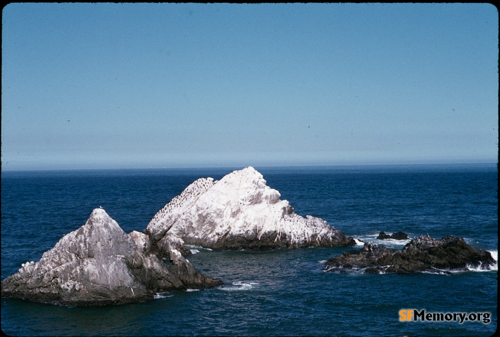 Seal Rocks