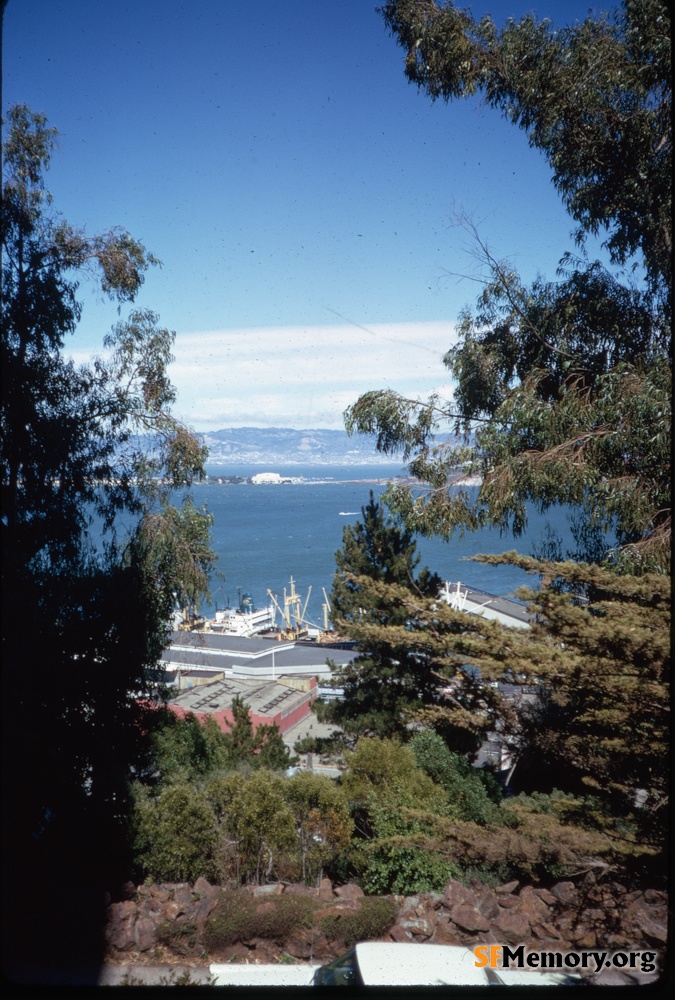 View from Telegraph Hill