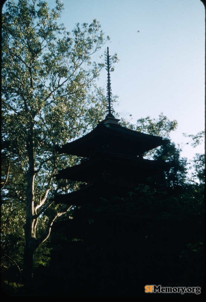 Golden Gate Park