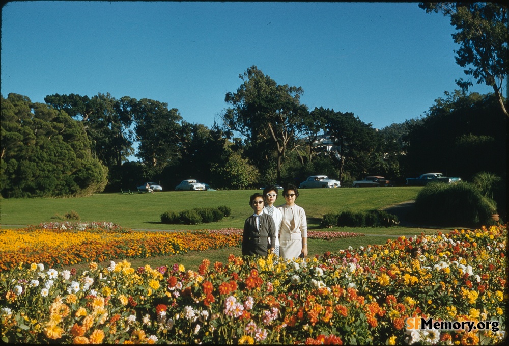 Golden Gate Park