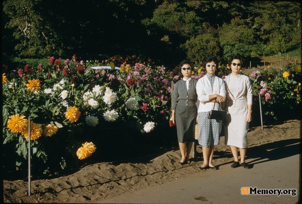 Golden Gate Park