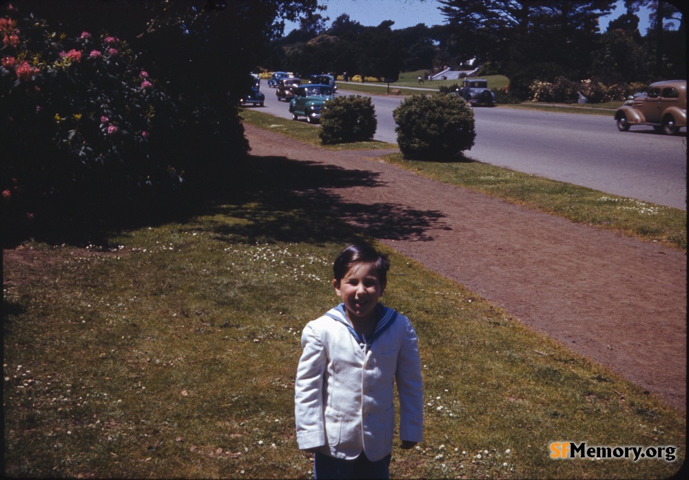 Golden Gate Park