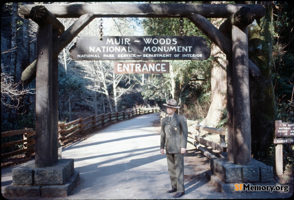 Muir Woods