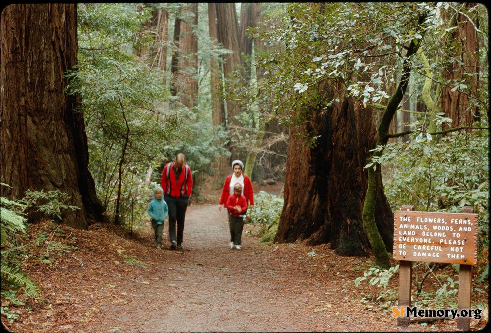 Muir Woods