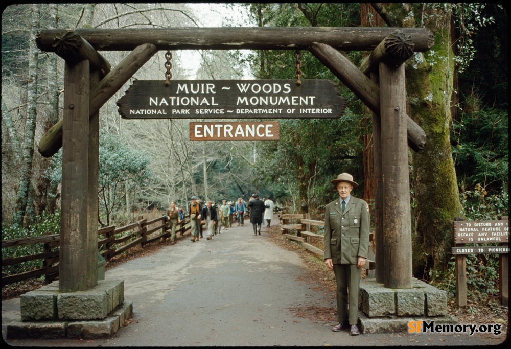 Muir Woods