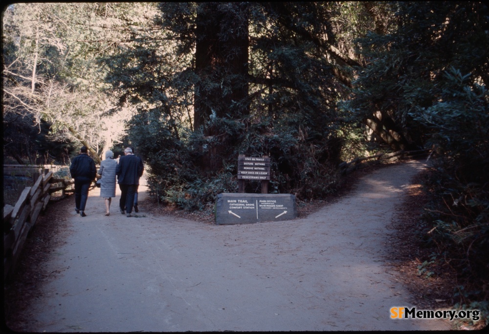 Muir Woods