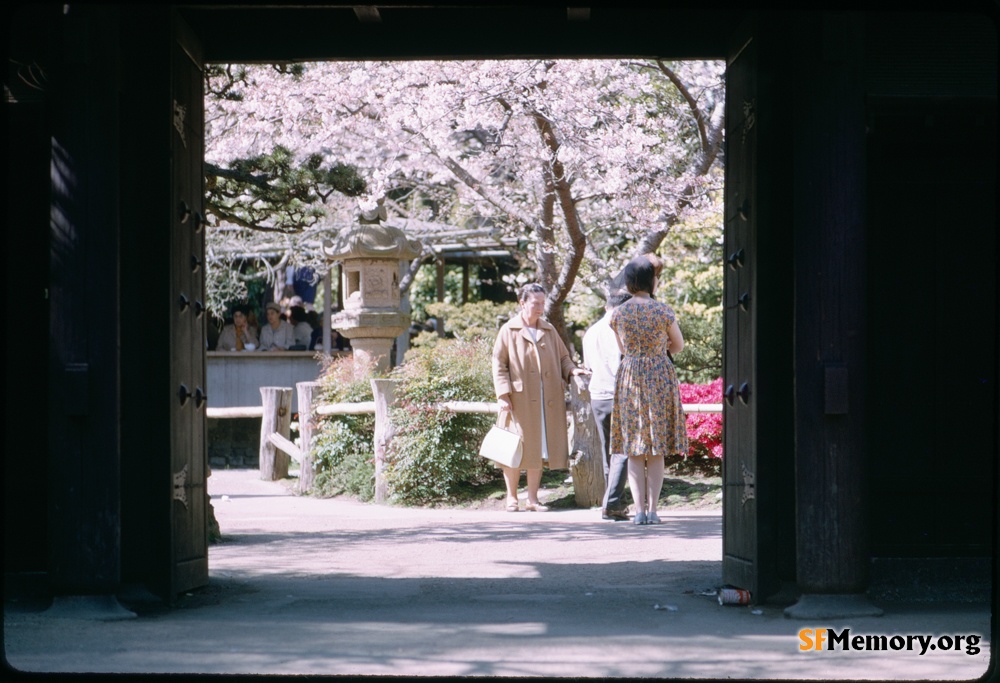 Japanese Tea Garden