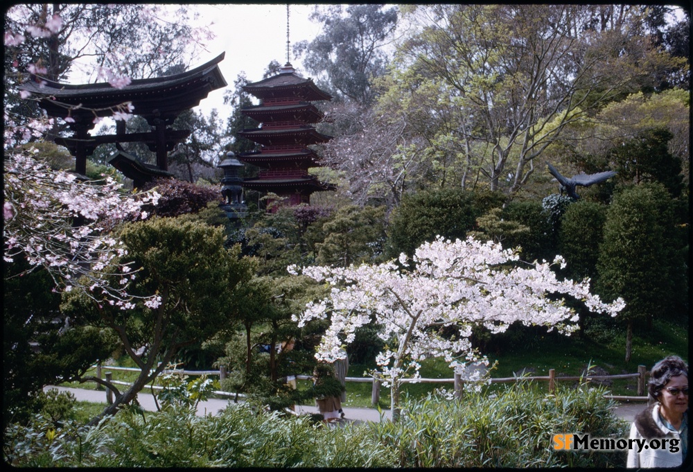 Japanese Tea Garden