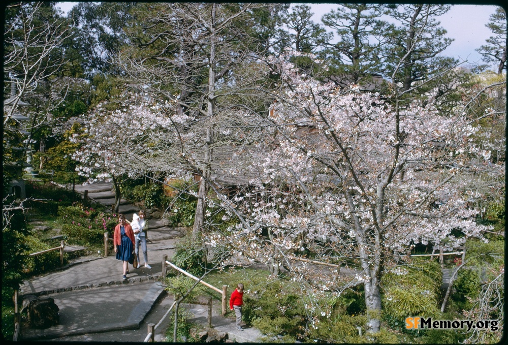 Japanese Tea Garden