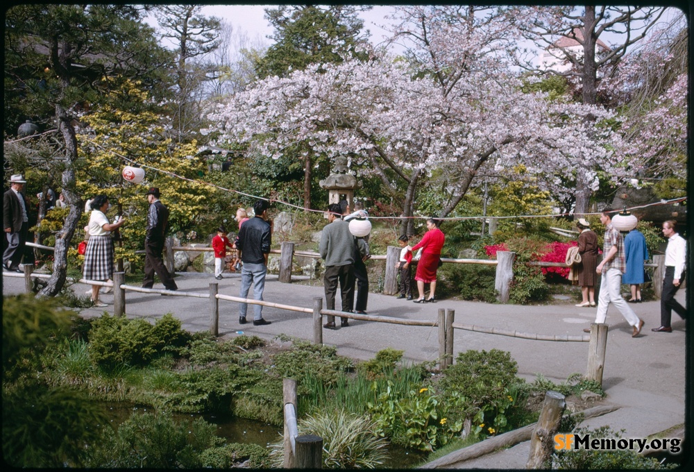 Japanese Tea Garden