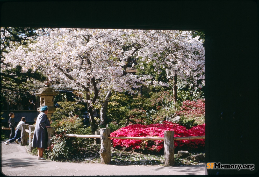 Japanese Tea Garden