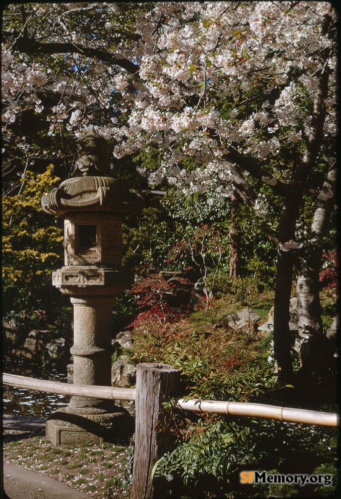 Japanese Tea Garden