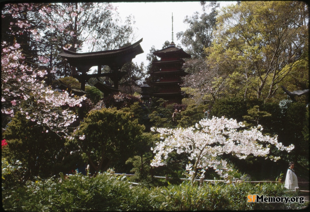 Japanese Tea Garden