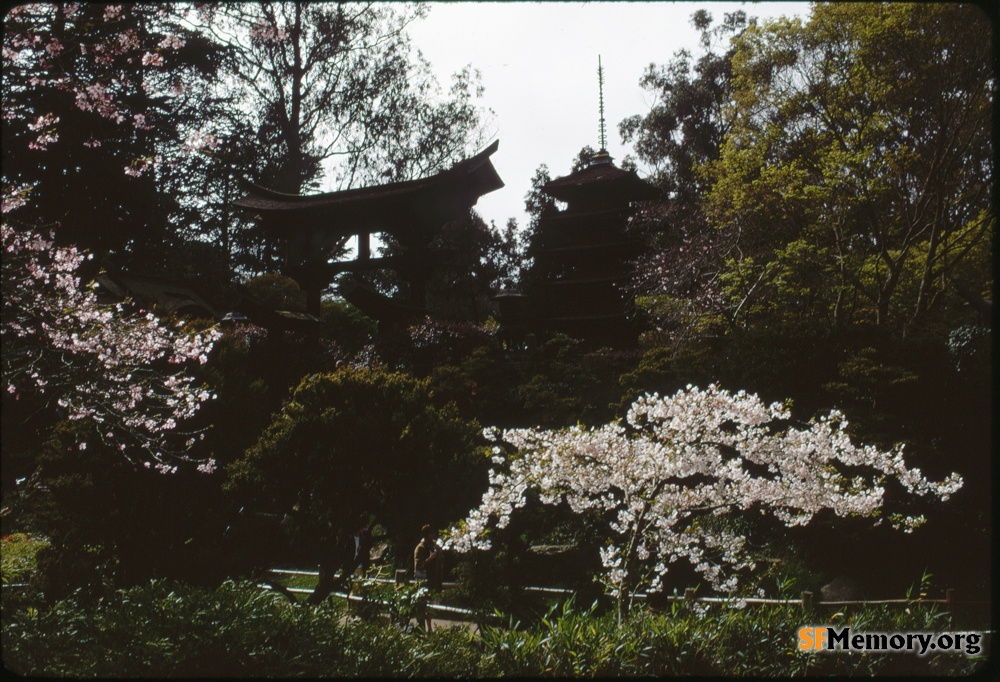 Japanese Tea Garden