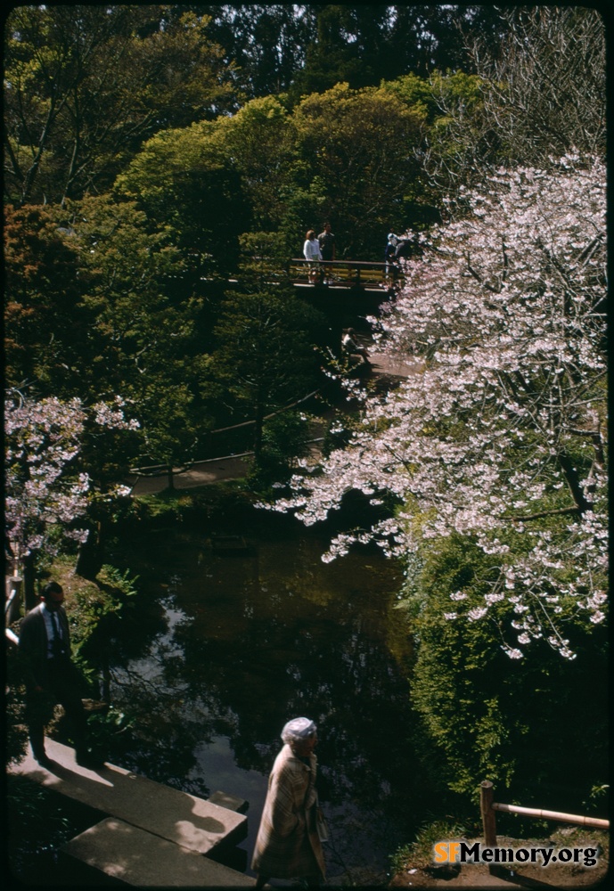 Japanese Tea Garden