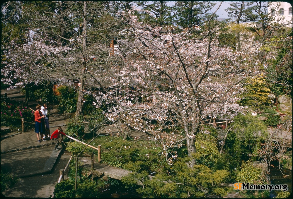 Japanese Tea Garden