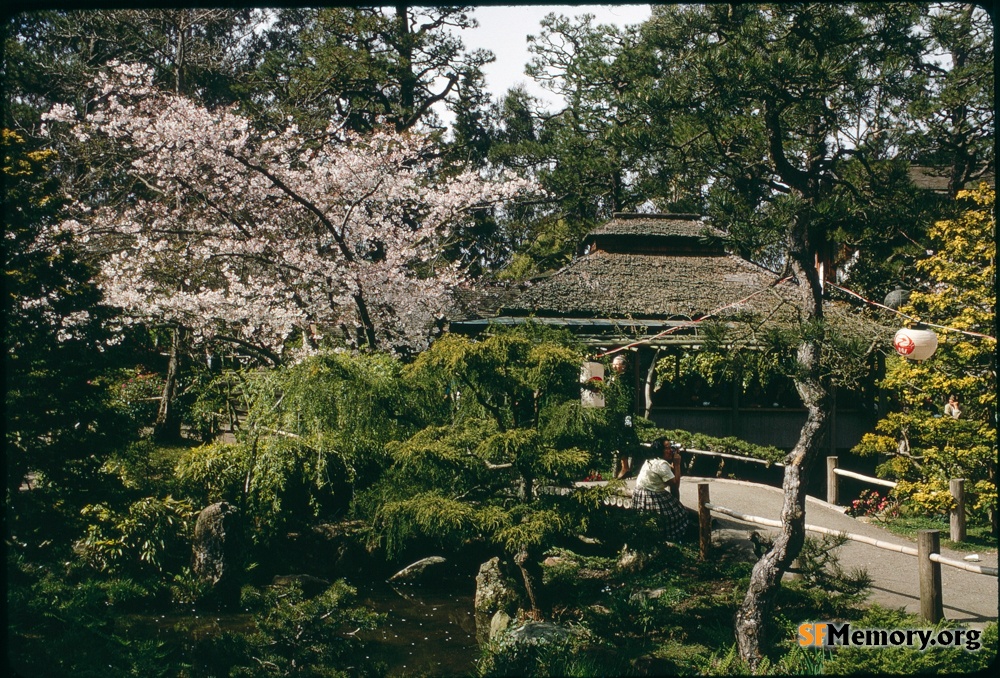 Japanese Tea Garden