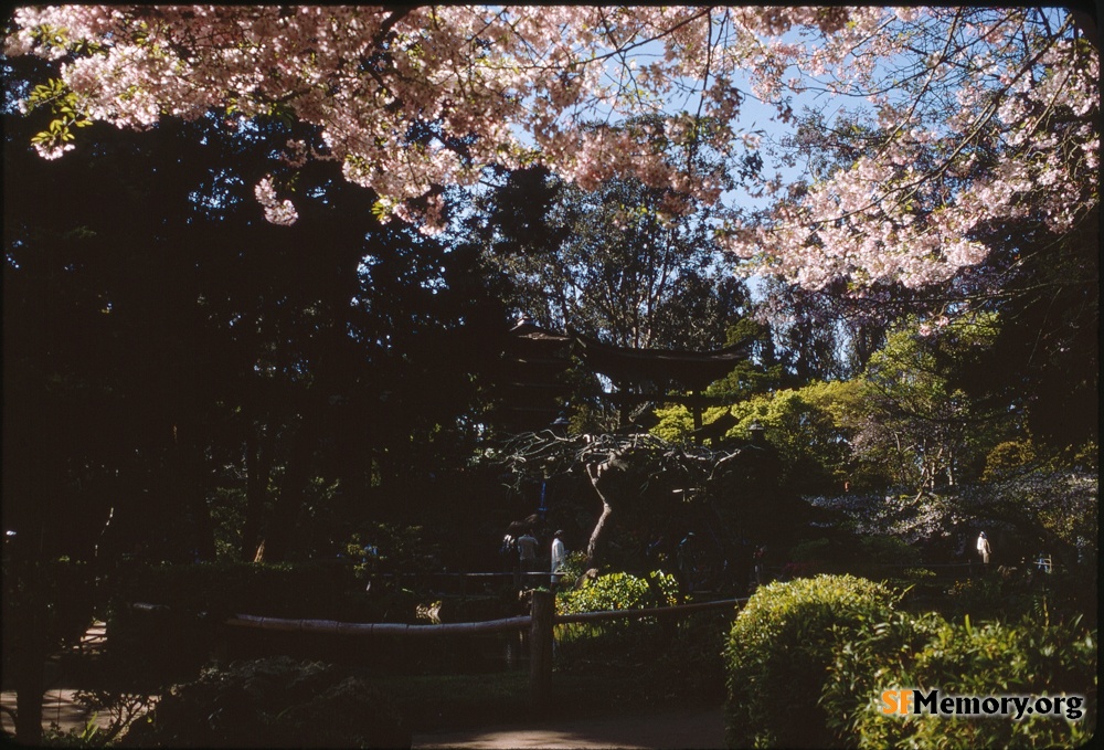 Japanese Tea Garden