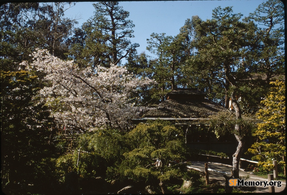 Japanese Tea Garden